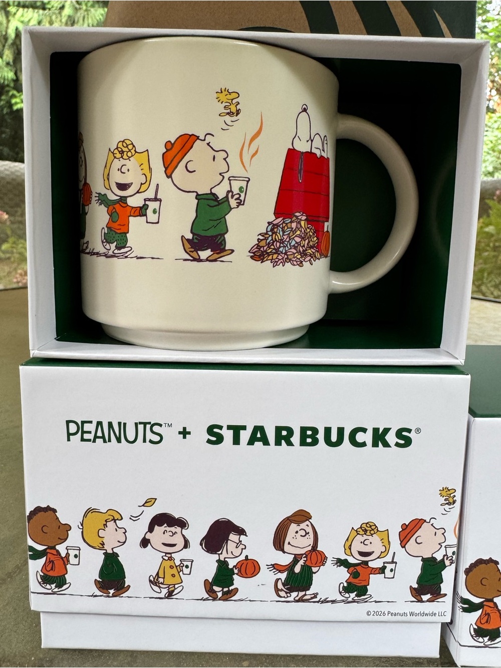 Starbucks Peanuts Snoopy Ceramic Mug - White with Green Interior - Picture 3 of 6